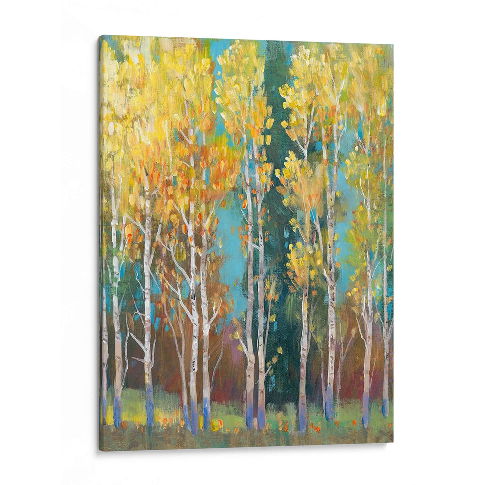 Aspen Grove I - Tim OToole | Cuadro decorativo de Canvas Lab