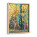 Aspen Grove I - Tim OToole | Cuadro decorativo de Canvas Lab