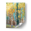 Aspen Grove I - Tim OToole | Cuadro decorativo de Canvas Lab