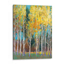 Aspen Grove Ii - Tim OToole | Cuadro decorativo de Canvas Lab