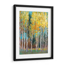 Aspen Grove Ii - Tim OToole | Cuadro decorativo de Canvas Lab