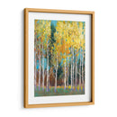 Aspen Grove Ii - Tim OToole | Cuadro decorativo de Canvas Lab