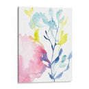 Fucsia Bloom I - Jennifer Goldberger | Cuadro decorativo de Canvas Lab