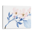 Cherry Blossom Light Ii - Jennifer Goldberger | Cuadro decorativo de Canvas Lab