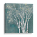 Birches Etéreos I - Jennifer Goldberger | Cuadro decorativo de Canvas Lab