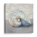 Estudio De Cáscara Azul I - Ethan Harper | Cuadro decorativo de Canvas Lab