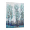 A Través Del Claro I - Tim OToole | Cuadro decorativo de Canvas Lab