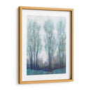 A Través Del Claro I - Tim OToole | Cuadro decorativo de Canvas Lab