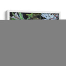 Velvet Oscuro Ii - Melissa Wang | Cuadro decorativo de Canvas Lab