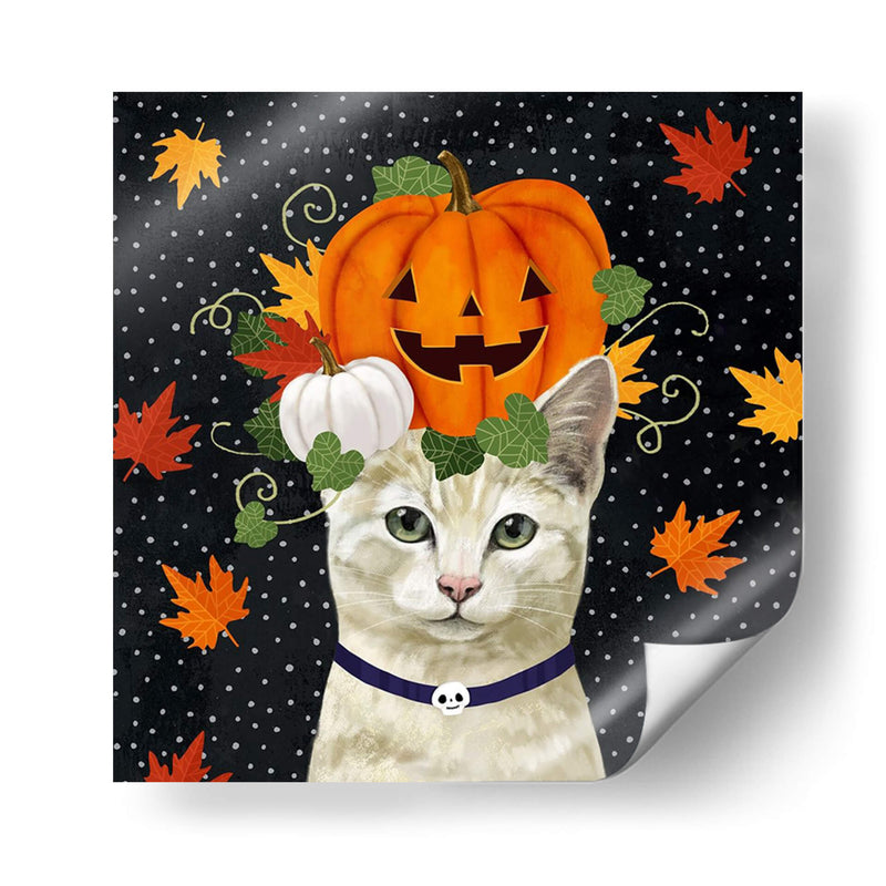 Halloween Cat I - Victoria Borges | Cuadro decorativo de Canvas Lab