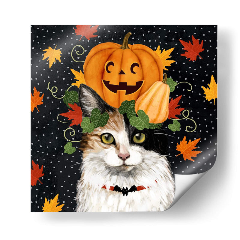 Halloween Cat Ii - Victoria Borges | Cuadro decorativo de Canvas Lab