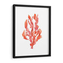 Coral Kelp Ii - Jennifer Goldberger | Cuadro decorativo de Canvas Lab