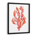 Coral Kelp Ii - Jennifer Goldberger | Cuadro decorativo de Canvas Lab