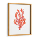 Coral Kelp Ii - Jennifer Goldberger | Cuadro decorativo de Canvas Lab