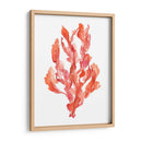 Coral Kelp Ii - Jennifer Goldberger | Cuadro decorativo de Canvas Lab