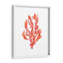 Coral Kelp Ii - Jennifer Goldberger | Cuadro decorativo de Canvas Lab