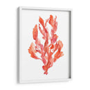 Coral Kelp Ii - Jennifer Goldberger | Cuadro decorativo de Canvas Lab