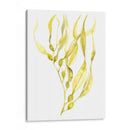 Oliva Mar Kelp I - Jennifer Goldberger | Cuadro decorativo de Canvas Lab