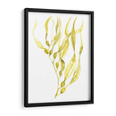 Oliva Mar Kelp I - Jennifer Goldberger | Cuadro decorativo de Canvas Lab