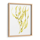 Oliva Mar Kelp I - Jennifer Goldberger | Cuadro decorativo de Canvas Lab