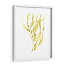 Oliva Mar Kelp I - Jennifer Goldberger | Cuadro decorativo de Canvas Lab