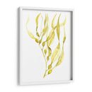 Oliva Mar Kelp I - Jennifer Goldberger | Cuadro decorativo de Canvas Lab
