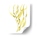 Oliva Mar Kelp I - Jennifer Goldberger | Cuadro decorativo de Canvas Lab