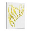 Olive Sea Kelp Ii - Jennifer Goldberger | Cuadro decorativo de Canvas Lab