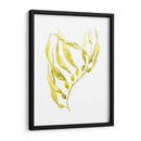 Olive Sea Kelp Ii - Jennifer Goldberger | Cuadro decorativo de Canvas Lab