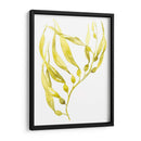 Olive Sea Kelp Ii - Jennifer Goldberger | Cuadro decorativo de Canvas Lab