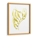 Olive Sea Kelp Ii - Jennifer Goldberger | Cuadro decorativo de Canvas Lab