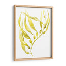 Olive Sea Kelp Ii - Jennifer Goldberger | Cuadro decorativo de Canvas Lab