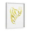 Olive Sea Kelp Ii - Jennifer Goldberger | Cuadro decorativo de Canvas Lab