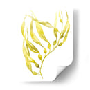 Olive Sea Kelp Ii - Jennifer Goldberger | Cuadro decorativo de Canvas Lab
