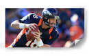 En la jugada Peyton Manning | Cuadro decorativo de Canvas Lab