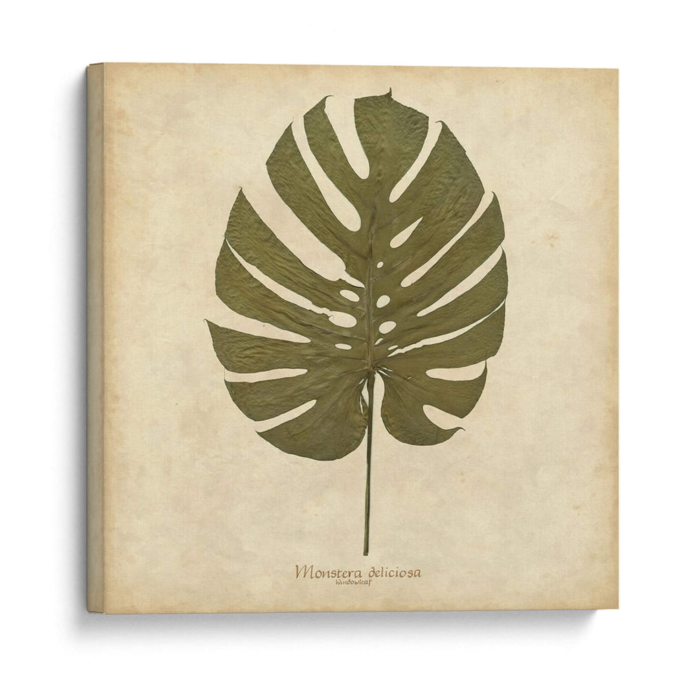 Hoja De Ventanas - Lily Llama | Cuadro decorativo de Canvas Lab