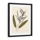Pulsado Botánico Iv - Vision Studio | Cuadro decorativo de Canvas Lab