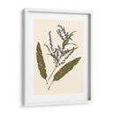 Pulsado Botánico Iv - Vision Studio | Cuadro decorativo de Canvas Lab