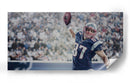 Gronkowski spike | Cuadro decorativo de Canvas Lab