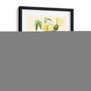 Cuvier Exotic Birds I - Becky Davis | Cuadro decorativo de Canvas Lab