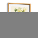 Cuvier Exotic Birds I - Becky Davis | Cuadro decorativo de Canvas Lab