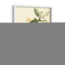 Cuvier Exotic Birds Ii - Becky Davis | Cuadro decorativo de Canvas Lab