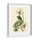 Cuvier Exotic Birds Iii - Becky Davis | Cuadro decorativo de Canvas Lab