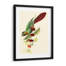 Cuvier Exotic Birds Iv - Becky Davis | Cuadro decorativo de Canvas Lab