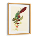 Cuvier Exotic Birds Iv - Becky Davis | Cuadro decorativo de Canvas Lab