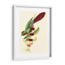 Cuvier Exotic Birds Iv - Becky Davis | Cuadro decorativo de Canvas Lab