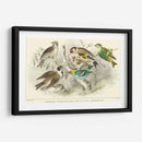Goldfinch, Buntings Y Wens. - J. Stewart | Cuadro decorativo de Canvas Lab