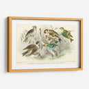 Goldfinch, Buntings Y Wens. - J. Stewart | Cuadro decorativo de Canvas Lab