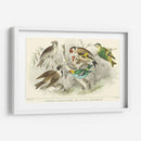 Goldfinch, Buntings Y Wens. - J. Stewart | Cuadro decorativo de Canvas Lab