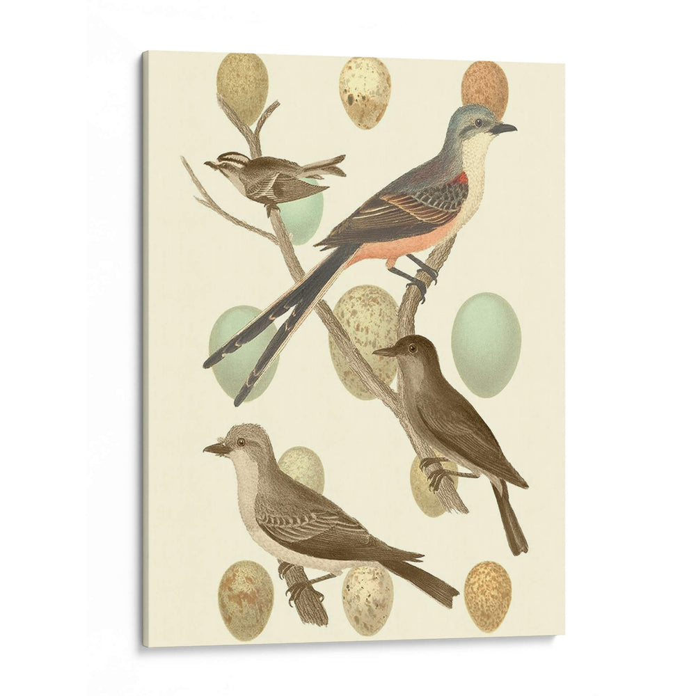 Pájaros Británicos Y Huevos I - Vision Studio | Cuadro decorativo de Canvas Lab